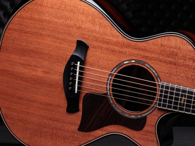 Taylor Guitars | Shop Guitars & Accessories